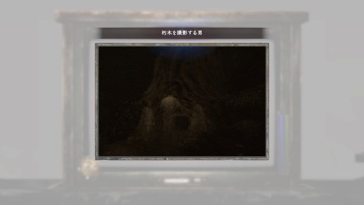 朽木を撮影する男