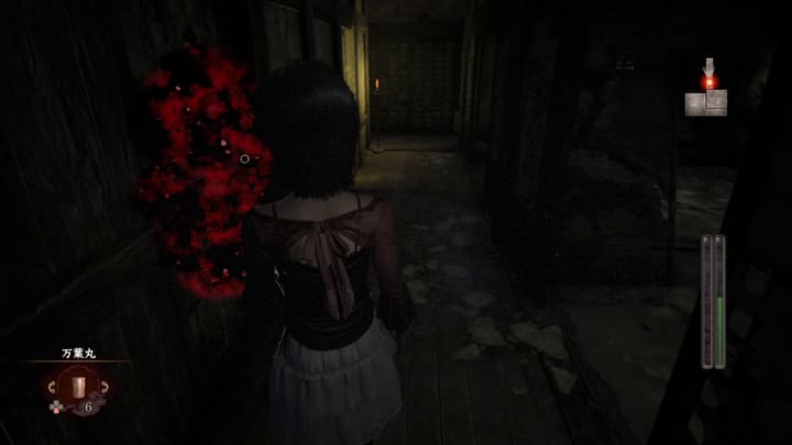 blood cleansing 004