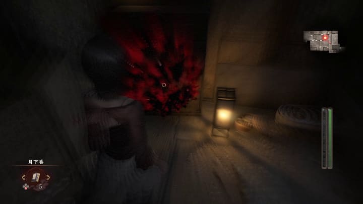 blood cleansing 006