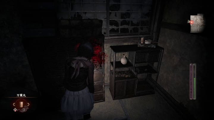 blood cleansing 011