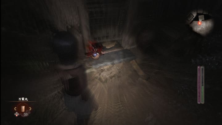 blood cleansing 014