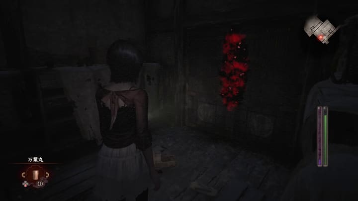 blood cleansing 016