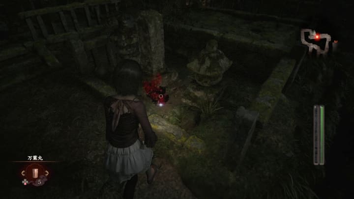 blood cleansing 017