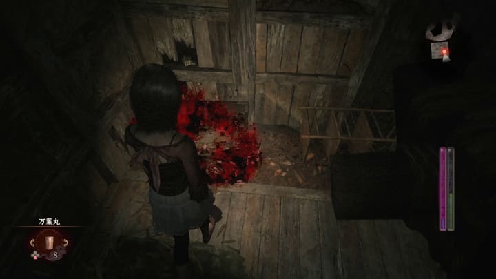blood cleansing 018
